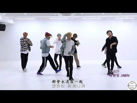 BTS/防彈/방탄 DNA Dance Practice [韓繁中字+認人]