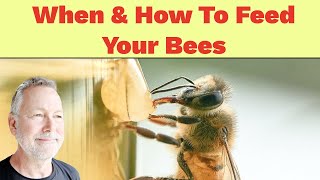 Beekeeping | What, When & How To Feed Your Bees. Don