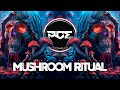 PSYTRANCE ● AlvinTep - Mushroom Ritual