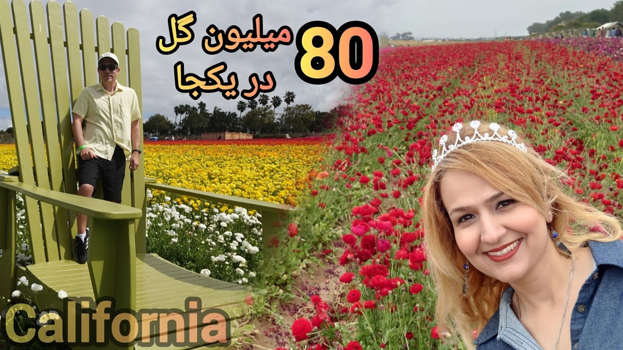 زیباترین باغ گل در آمریکا