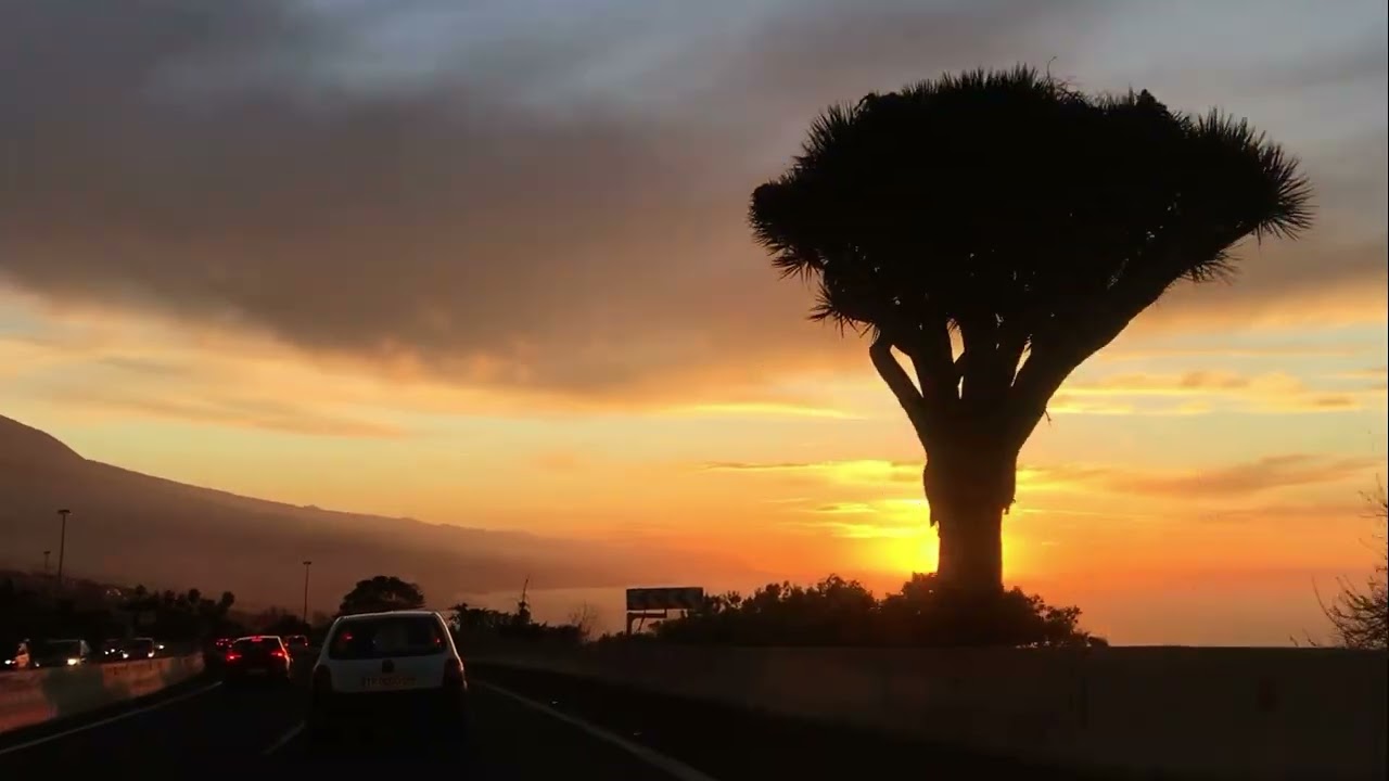 The colors of Fairuz