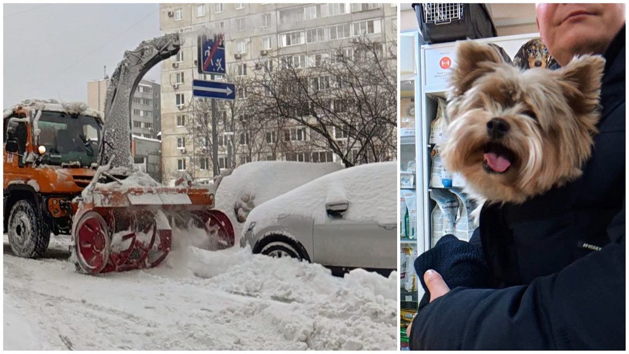 Снегоуборщик спас машину, ветеринар велел вернуться 22.02.26