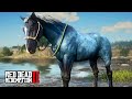 Reencontrei e DOMEI o CAVALO AZUL - O Domador de Cavalos - Red Dead Redemption 2