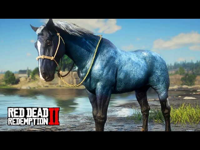 Domei um dos CAVALOS MAIS RAROS DO JOGO - O Domador de Cavalos - Red Dead  Redemption 2 