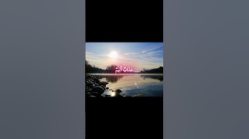 سورة يس للمقرئ علاء عقل  #المصحف #راحة_نفسية   #قران_كريم  #قرآن   #دويتو #تيك_توك