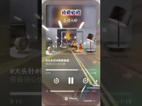 待我如初 - 大头针