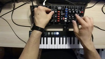 Behringer Model D - First Test (with Roland TR8)