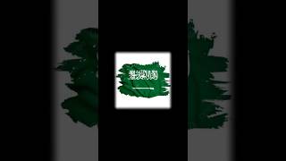 Kenapa bendera Arab Saudi diperlakukan khusus di Piala Dunia?