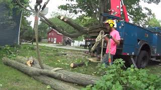 TOM'S TREE SERVICE