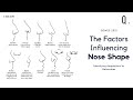 How Climate Influences Your Nose Shape | Defining Beauty