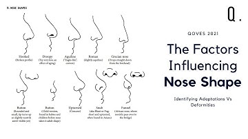 How Climate Influences Your Nose Shape | Defining Beauty