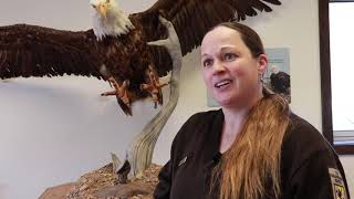 Prairie du Chien Bald Eagle Appreciation Days - Hallie Rasmussen, Upper Mississippi River Refuge