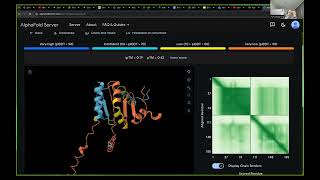 B10 Python for AI demo 4 Protein Language Models
