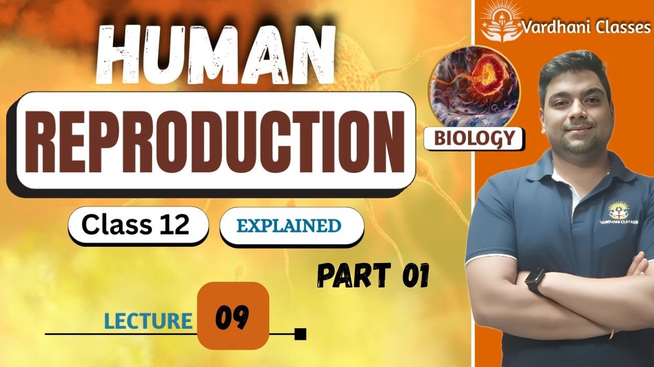 HUMAN REPRODUCTION | CLASS 12TH | SPRMETOGENESIS & OOGENESIS PART 1 | BY DR KARAN VARDHANI