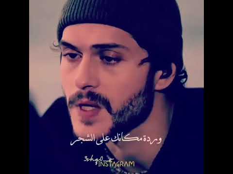 اغنية يا بنت قلبي حالات واتس
