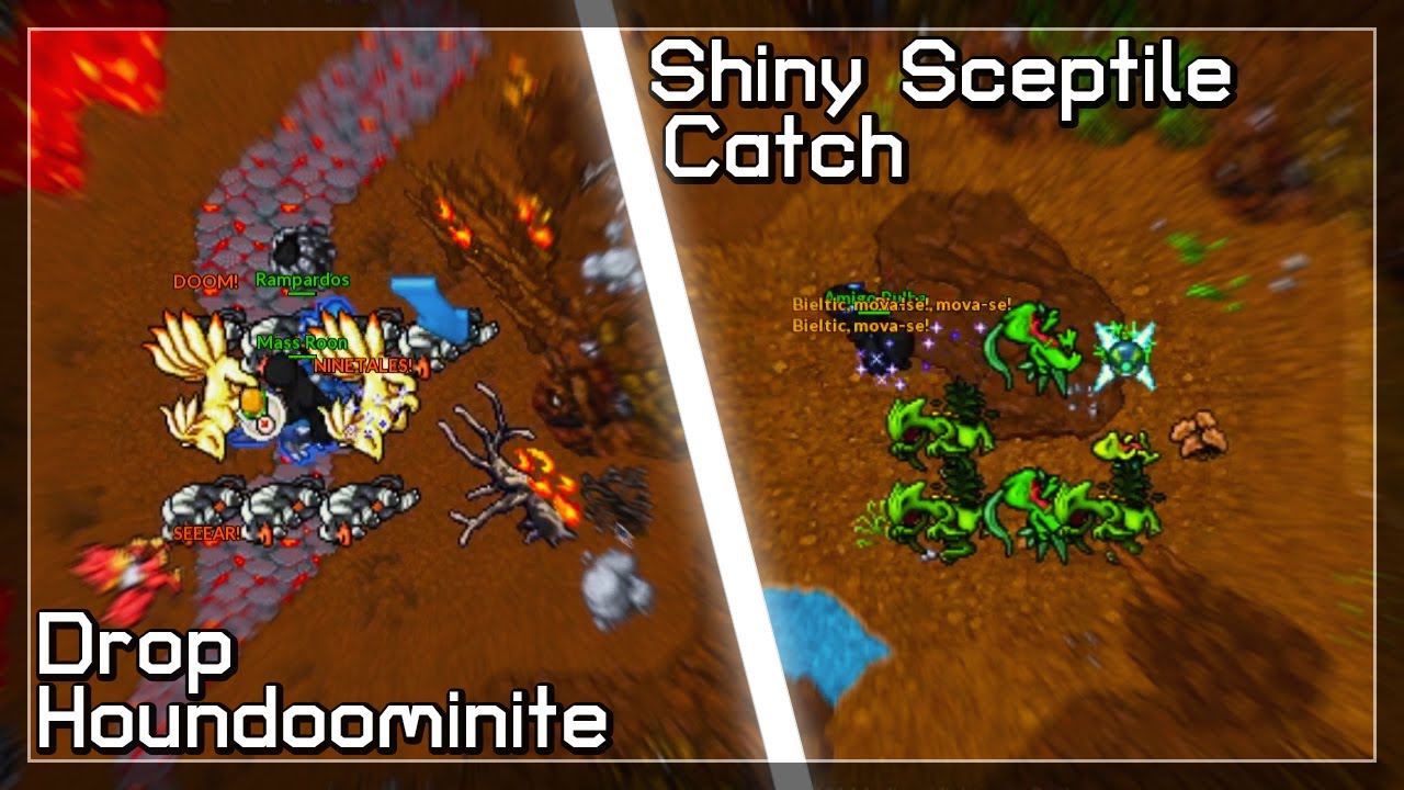 DROP HOUNDOOMINITE & CATCH SHINY SCEPTILE || PXG CLIPS 