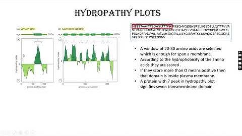 Membrane protein structure & Hydropathy plot| Cell biology CSIR NET,GATE DBT,BARC,JAM| Hindi version