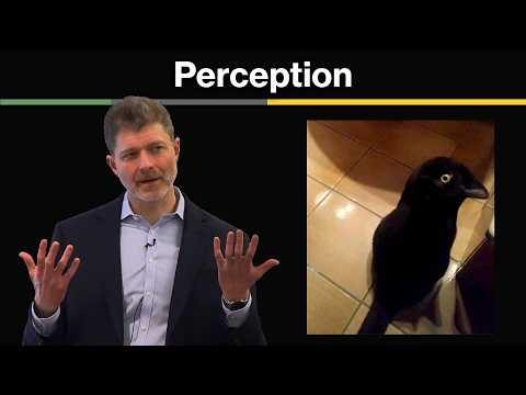 1 Introduction to Perception