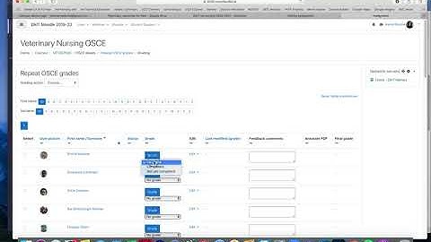 Competent or not yet scale in a Moodle assignment