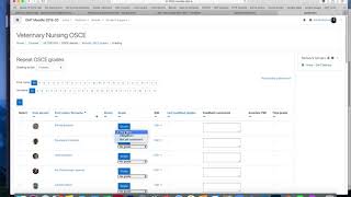 Competent or not yet scale in a Moodle assignment