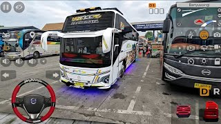 Bus Ntts Trans Mecca 24 Lagi Santuy Nungguin Penumpang Bareng Ratu Maher 