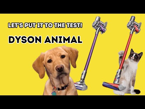 Dyson DC24 Animal Review