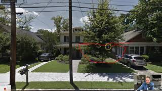 Celebrity Arborist tips on How to prune a pin oak tree Net Worth