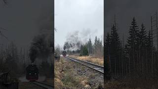 Stampfend die Gerade entlang #locomotive #steampower #fyp #explorepage #germany #sound #steamtrain
