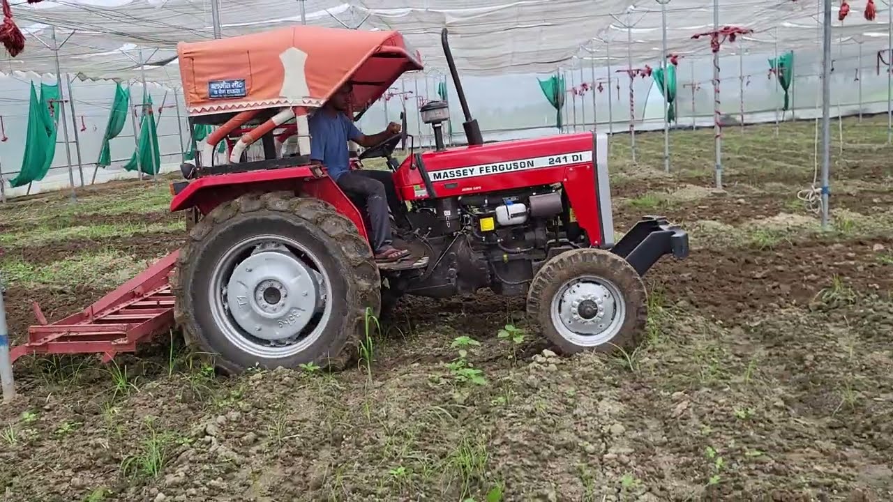 नेटहाउस में बुवाई कैसे करें 