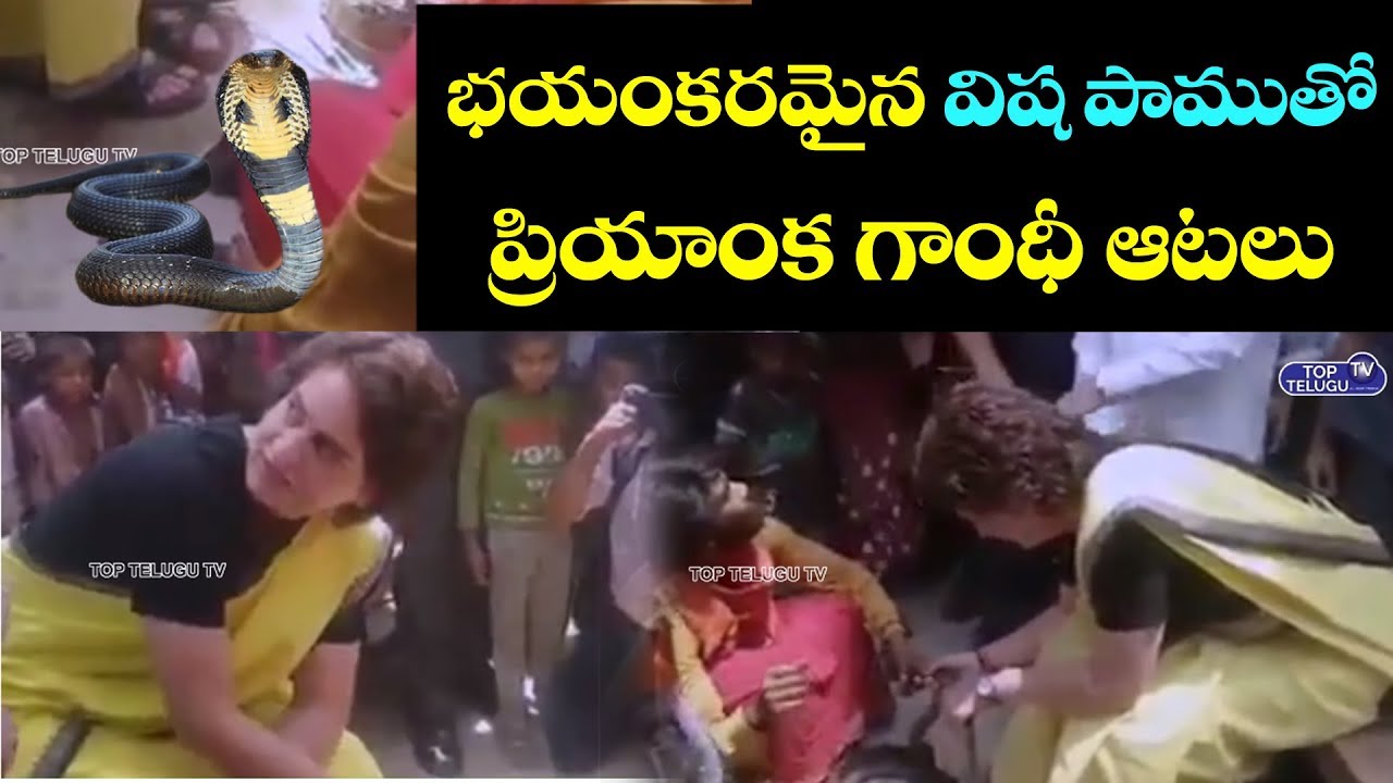 telugu news websites ప్రియాంక గాంధీ ధైర్యసాహసాలు | Priyanka Gandhi Latest Video | Snake Videos | Top Telugu TV