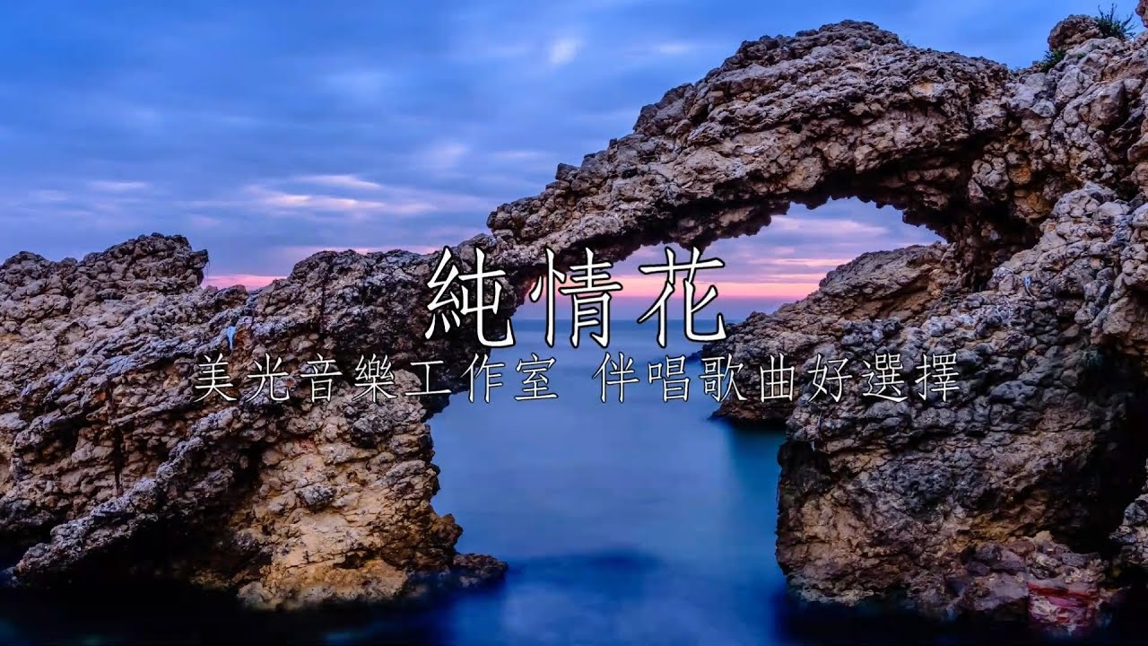 純情花 謝宜君 女C調 全自製伴唱