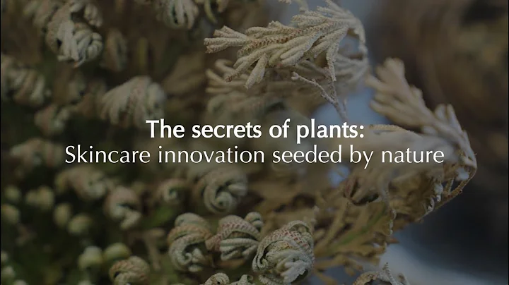 The secrets of plants: skincare innovation seeded by nature