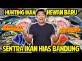 HUNTING IKAN BARU DI SENTRA IKAN HIAS BANDUNG! PASAR IKAN TERBESAR DI BANDUNG?! AQUARIUM BARU!