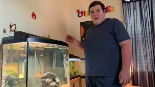 Setting up my 50 gallon bow front fish tank