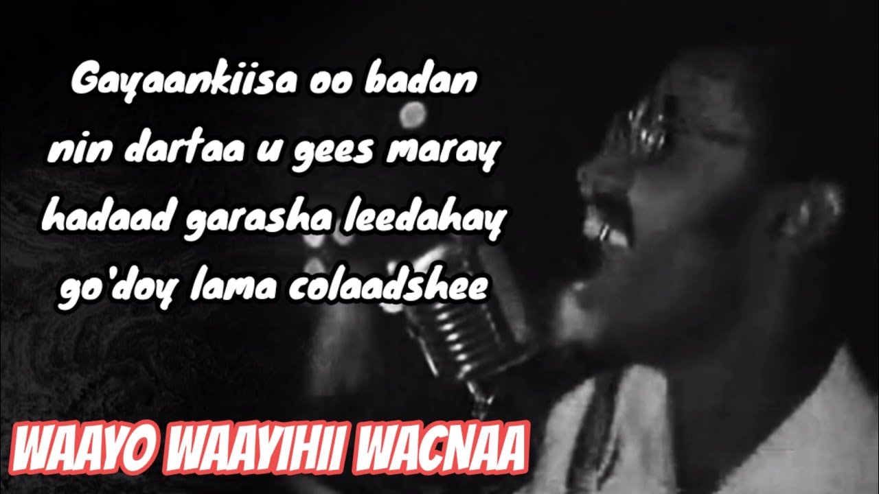 Faysal Cumar Mushteeg 🔥Iyo Heesta 