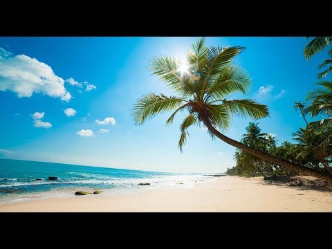 Woman in Love - Barbra Streisand