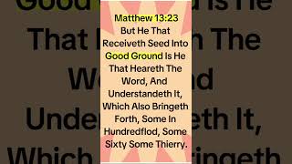 Silent The Noise In My Mind Lord