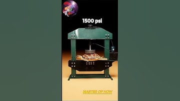 Is Turtle a Bullet Proof? (3d Animation) #shorts