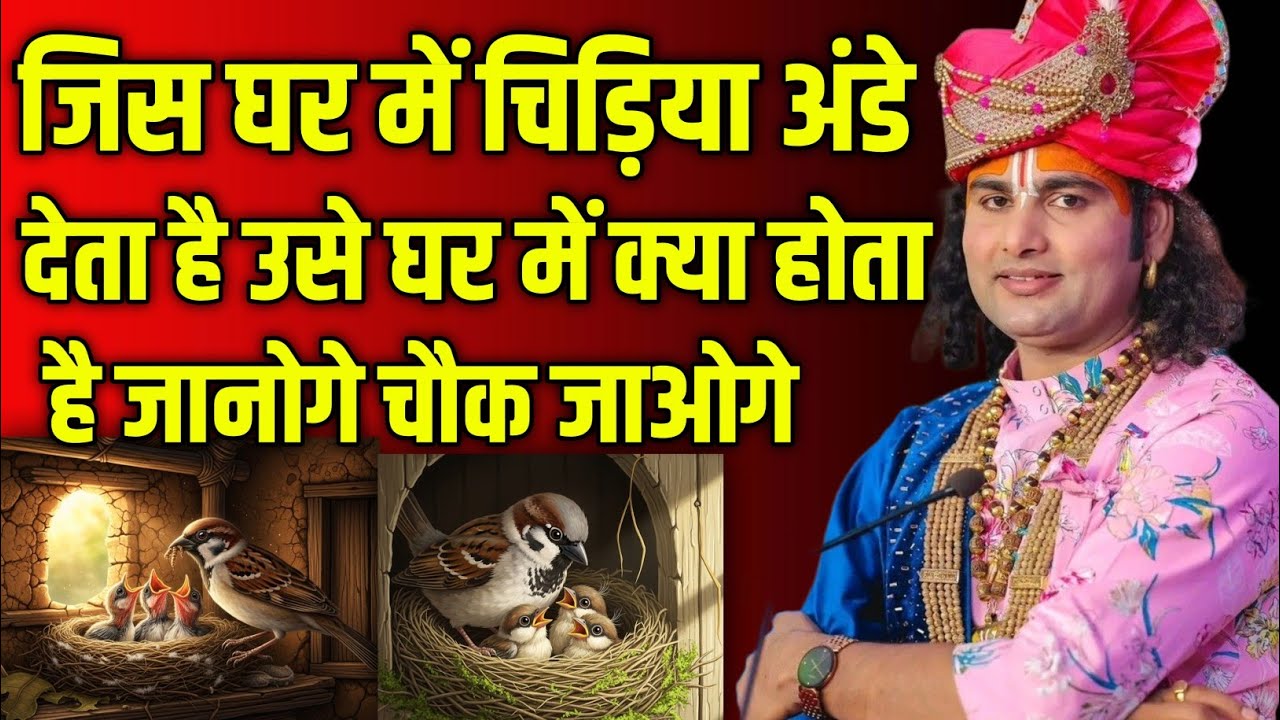 जिस घर में चिड़िया अंडे देती है उस घर में क्या होता है? जानोगे तो भाग्य चमक उठेगा | aniruddhacharya 