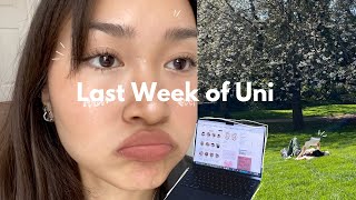 🎧 LAST WEEK OF UNI *vlog* | notion tour, picnics, fear of adulting?, wholesome weekend, thrifting