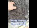 Watering process on Vermi Bed & Vermi Compost Checking #hoi #farming #ytshorts #nature #organic #yt