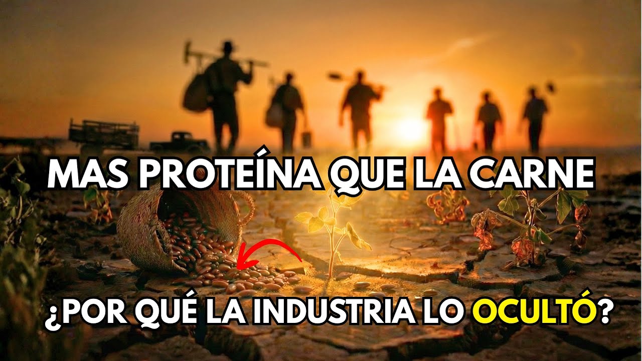 Más Proteína Que La Carne De Res, Más Fuerte Que El Maíz: La Semilla Perdida De La Supervivencia.