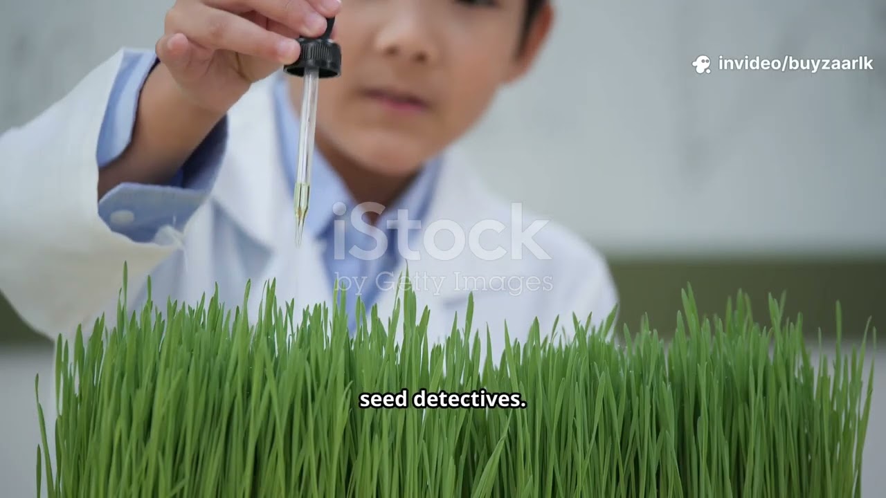 The New TRAVELERS FRUIT SEED is INSANE... | Grow a Garden & Explode! Science and Technology Bio