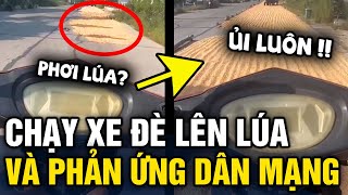 Chạy xe máy 'ĐÈ LÊN LÚA' phơi trên đường, thanh niên được nhiều người ĐỒNG TÌNH | Tin 3 Phút