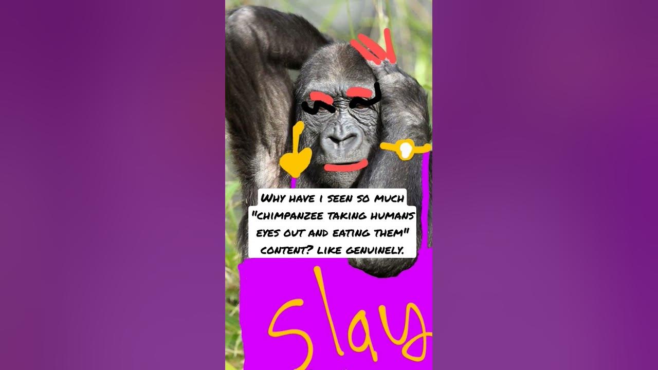 now I know that adult chimpanzees are five times stronger than humans #