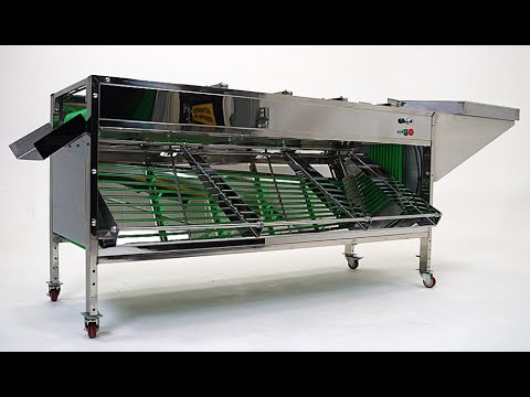 Automatic Sorter - Python Industries - YouTube