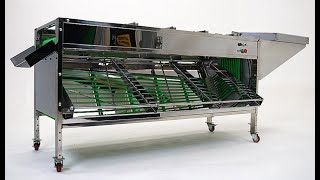 Automatic Sorter - Python Industries