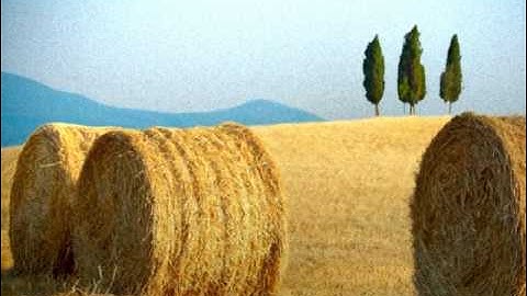 Parallax Shift Effect Final