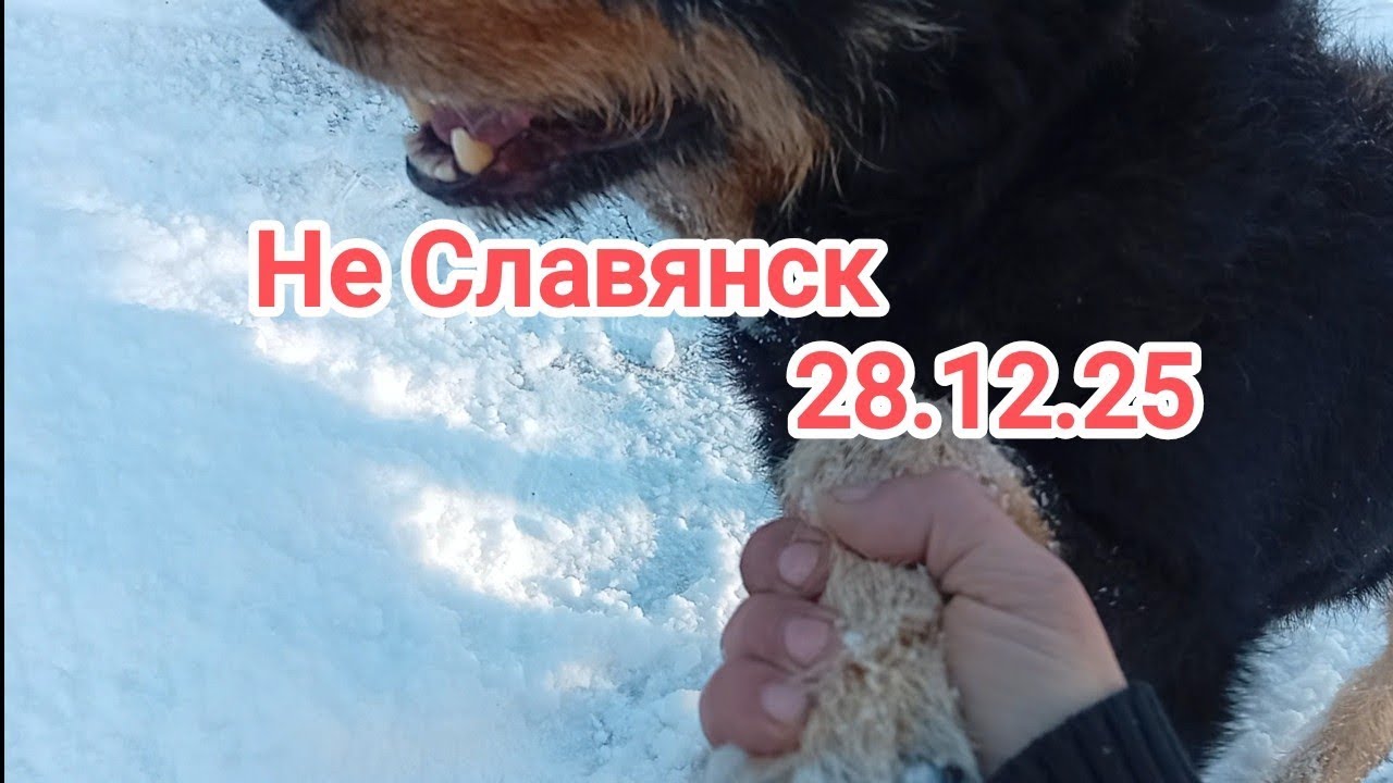 Нас завалило снегом/ Работаем во дворе.