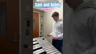 Sam and Robby - Cobra Kai (Vibraphone Cover)